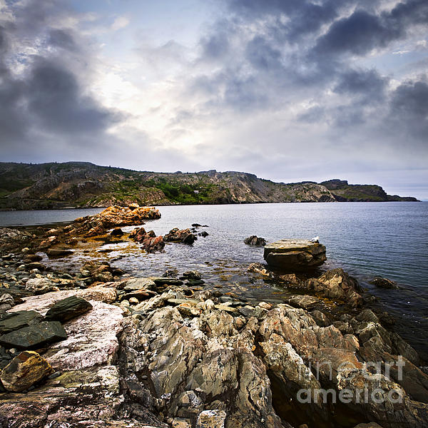 Fishing village in Newfoundland 2 Tapestry by Elena Elisseeva