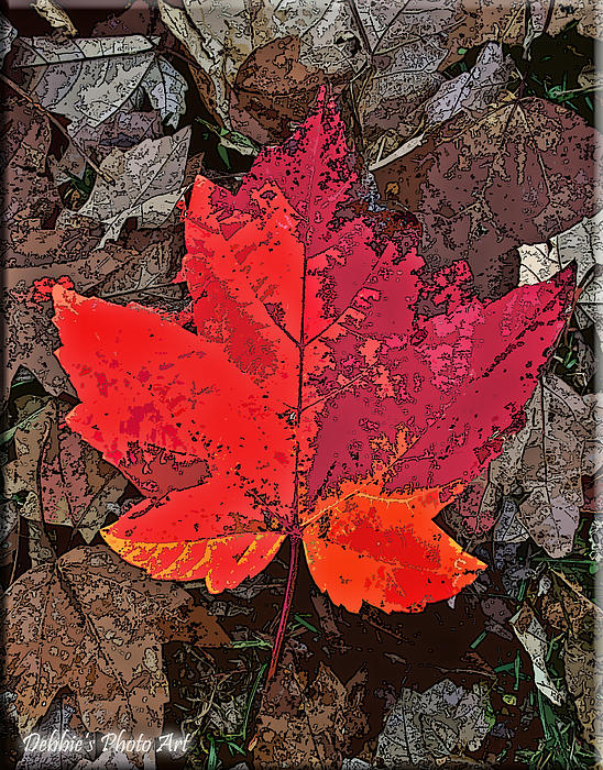 Debbie Portwood - Autumn Leaf art IV