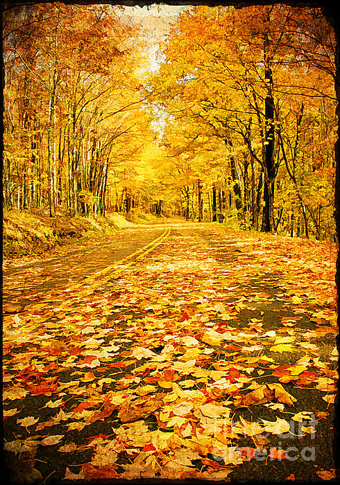 Autumn Road Print by Darren Fisher