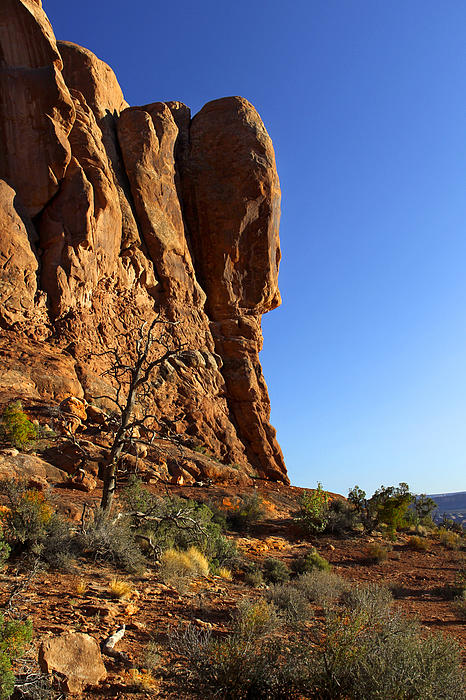 Backside Beauty in Utah Jigsaw Puzzle