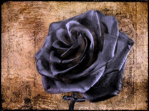 David Dehner - Black Rose Eternal  