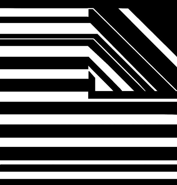 Nancy Mergybrower - Black Flag Optical Illusion