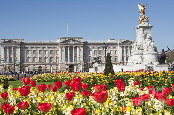 Buckingham Palace In The Spring Time Print by Andrew Michael