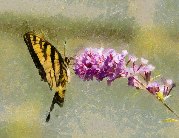 Insects Digital+art
