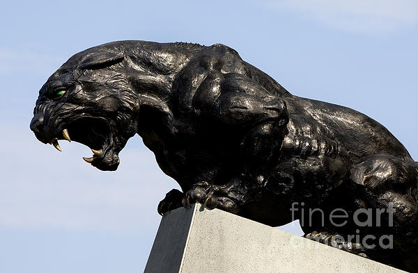 44 Carolina Panthers Statue Stock Photos, High-Res Pictures, and Images -  Getty Images