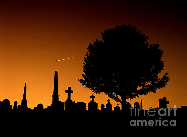 Mike Nellums - Cemetery and Tree