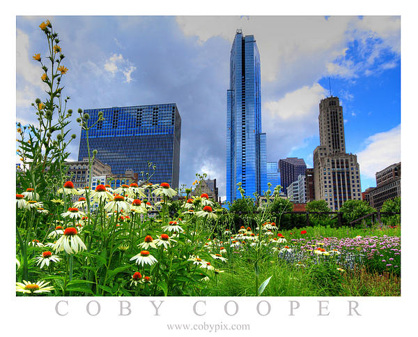 Coby Cooper - Chicago Flowers