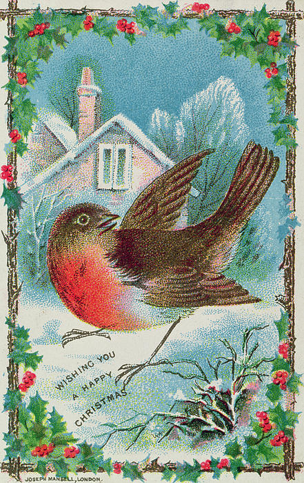 Christmas Card Depicting A Robin Greeting Card for Sale by English School
