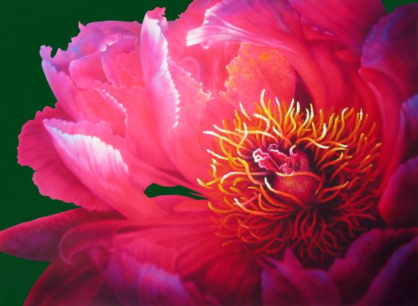 Dahlia Painting  - Dahlia Fine Art Print