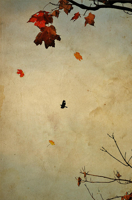 Emily Stauring - Dreaming Of Fall