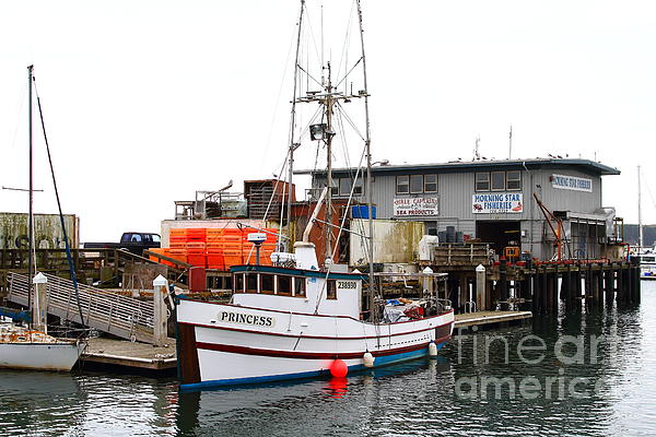 Boats for sale in Half Moon Bay, California