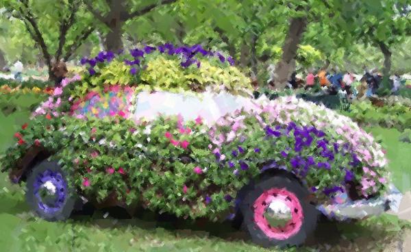 Tops Cars: flowers cars nice