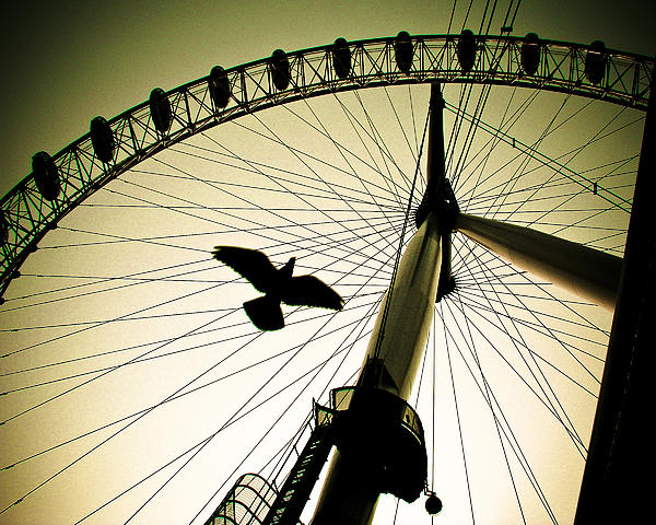 Elaine Snyder - Flying High With The London Eye