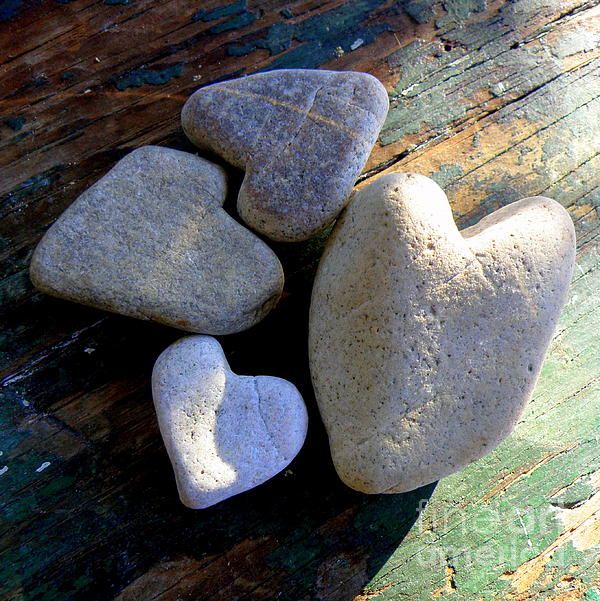 Lainie Wrightson - Four Stone Hearts