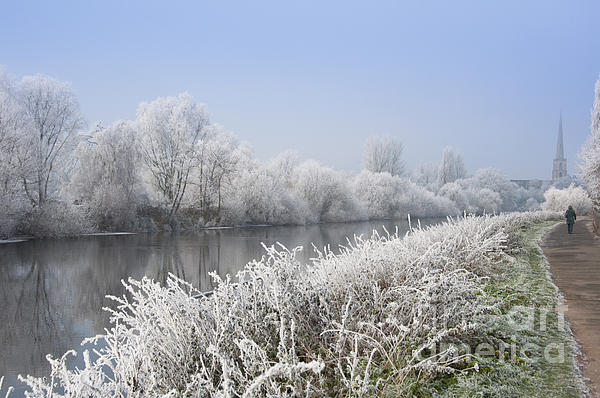 Andrew  Michael - Frosty morning landscape