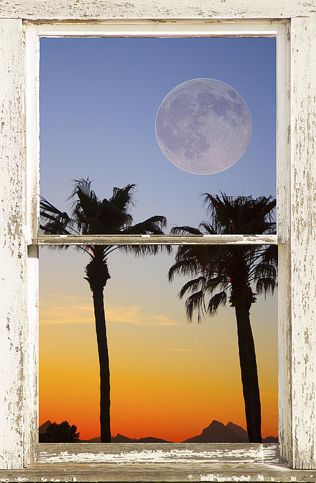 James BO Insogna - Full Moon Palm Tree Picture Window Sunset