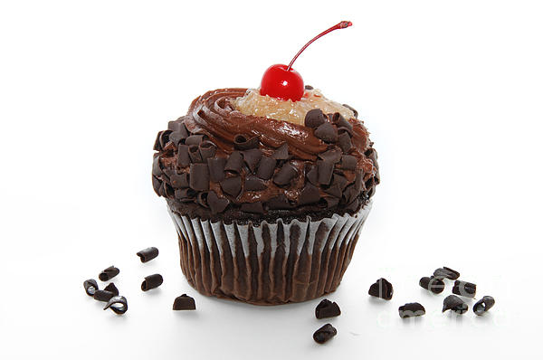 Andee Design - German Chocolate Cupcake