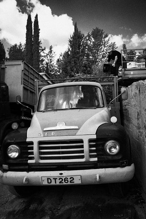 Grape Farmer Throwing Grape Collection Into And Old Bedford Truck For Transport To Winery Cyprus Greeting Card
