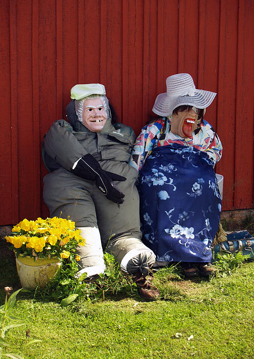 Torfinn Johannessen - Happy Couple