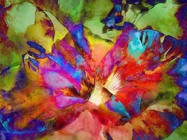 Frances Miller - Hibiscus Abstract