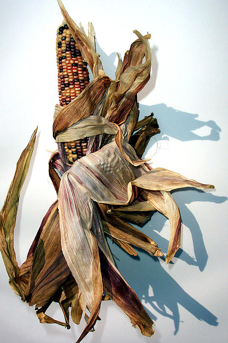 Mary Gillis - Indian Corn 1