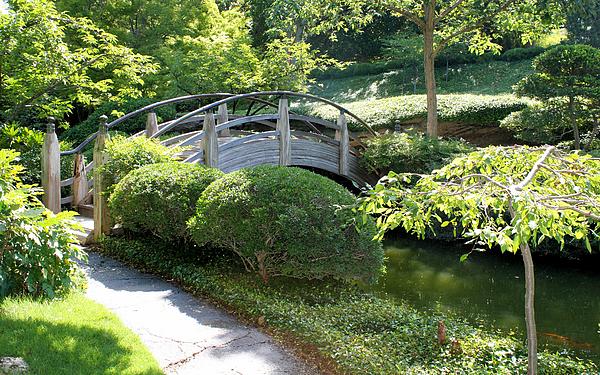 Lynnette Johns - Japanese Garden Bridge