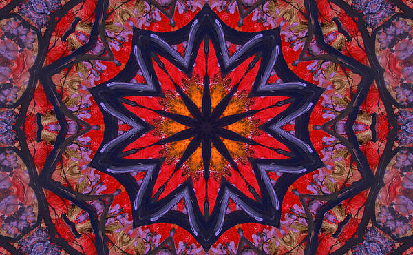 Family Treasures PRIVATE GALLERY - Red Kaleidoscope