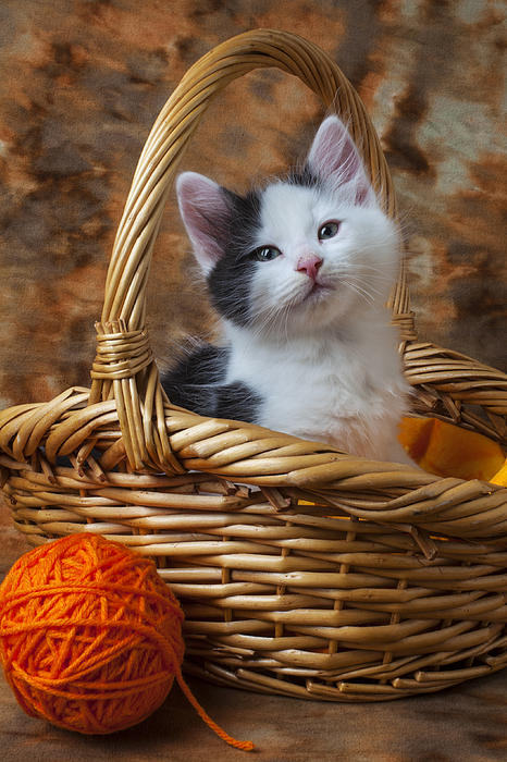 Kitten in basket with orange yarn Yoga Mat by Garry Gay - Pixels