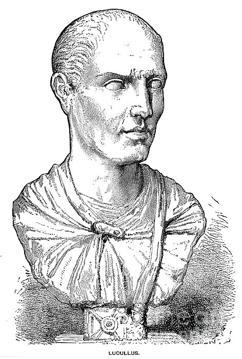 Lucius Licinius Lucullus Greeting Card for Sale by Granger