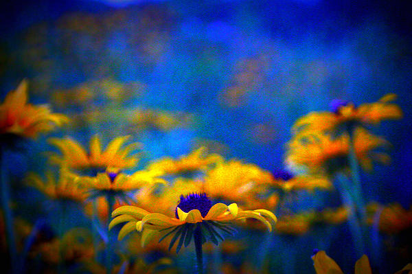 Blue Paintings