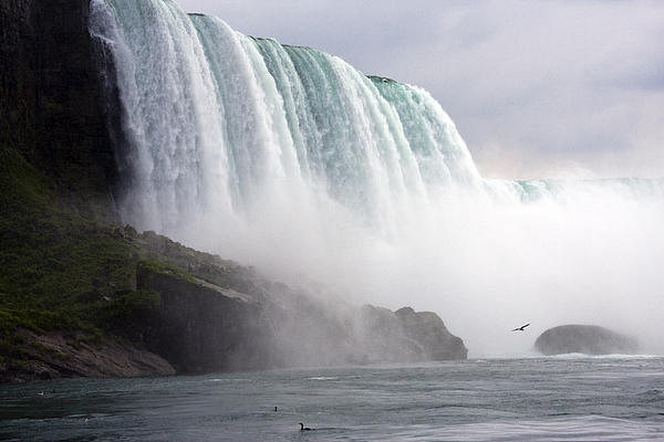 Darleen Stry - Niagara Falls