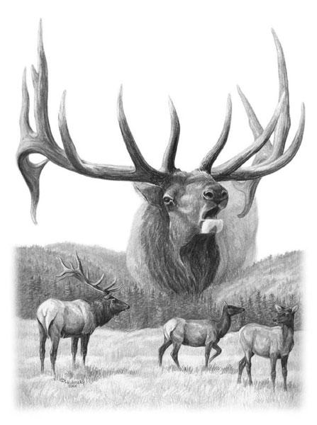 North American Nobility Elk by Laurie McGinley