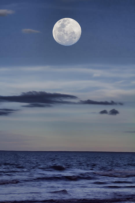 https://images.fineartamerica.com/images-medium/ocean-moon-douglas-barnard.jpg