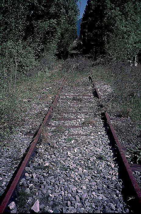 Heinz G Mielke - Old Abandoned Railroad Tracks