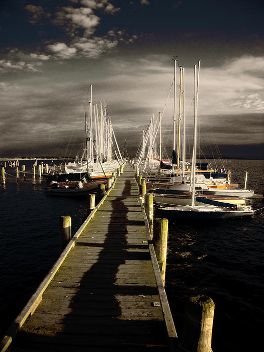 Florin Birjoveanu - Overlooking The Yacht Dock