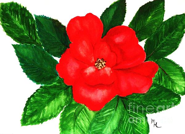 Marsha Heiken - Painted Watercolor Red Rose