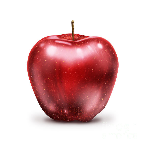 Red Apple Images Free Photos, PNG Stickers, Wallpapers, 52% OFF