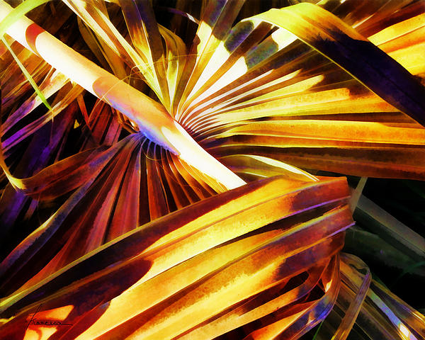 Palm Branch Fallen Digital Art