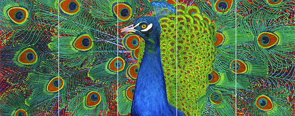 Lisa Rodriguez - Peacock Pride