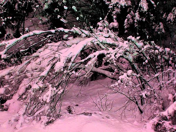ÎÏÎ¿ÏÎ­Î»ÎµÏÎ¼Î± ÎµÎ¹ÎºÏÎ½Î±Ï Î³Î¹Î± pink snow