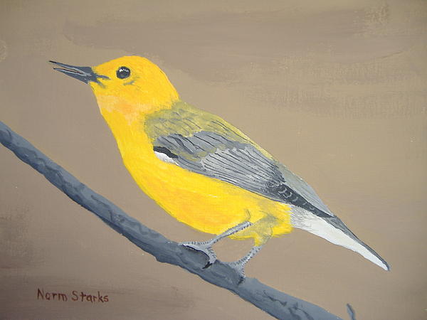 Norm Starks - Prothonotary Warbler