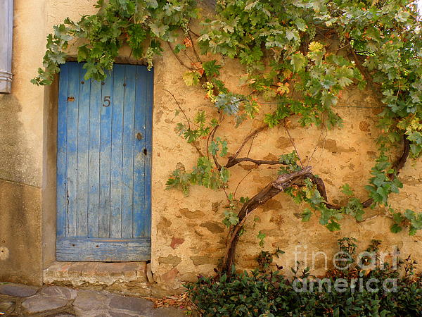 Lainie Wrightson - Provence Door 5