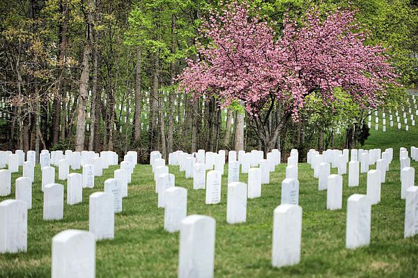 JC Findley - Quantico National Cemetery