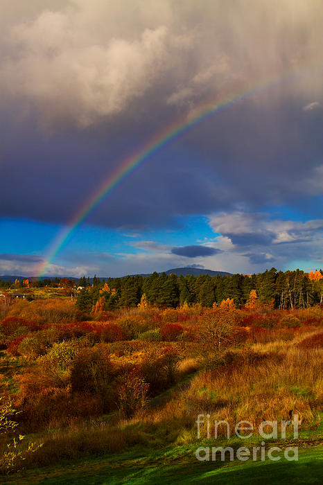 Louise Heusinkveld - Rainbow over Rithets Bog
