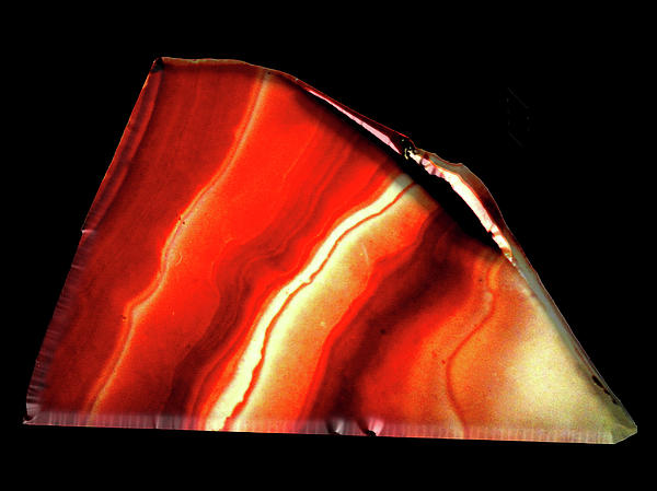 Macro Art