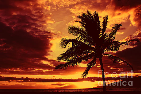 Teresa Zieba - Red Hawaiian Sunset