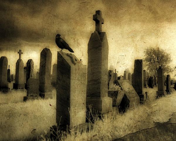 Gothicrow - Rest Blackbird