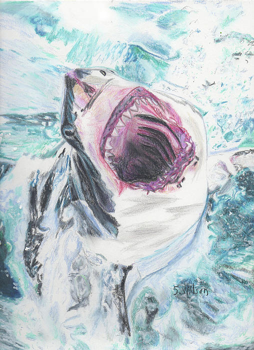 Shark Attack Drawing - Shark Attack Fine Art Print