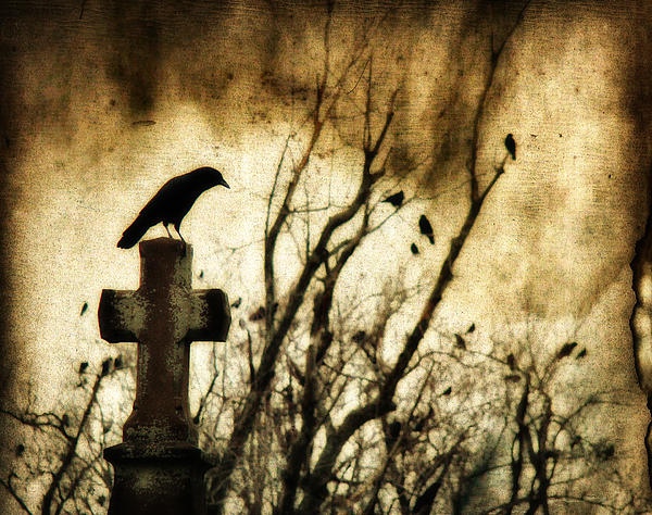 Gothicrow Images - Soulful Crow