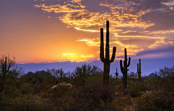 Saija Lehtonen - Southwest Desert Sunset